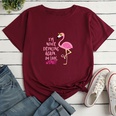 Letter Firebird Fashion Print Ladies Loose Casual TShirtpicture42